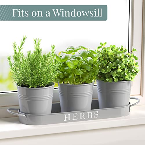 Barnyard Designs Indoor Herb Garden Planter Pots Set/3 (Cool Grey) - color: Cool Grey