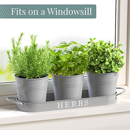 Barnyard Designs Indoor Herb Garden Planter Pots Set/3 (Cool Grey) - color: Cool Grey