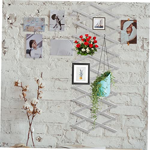 GALPADA Expandable Garden Fence Wall Fence Decor Wooden Fencing for Climbing Plant Support Patio Lawn Garden Decorative 59.05 X 15.74 X 0.59 in 1 piece