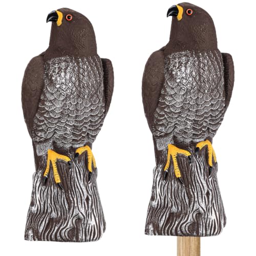 2 Pack Bird Scarecrow Fake Horned Hawk Decoy, Fresh Color - color: Fresh Color
