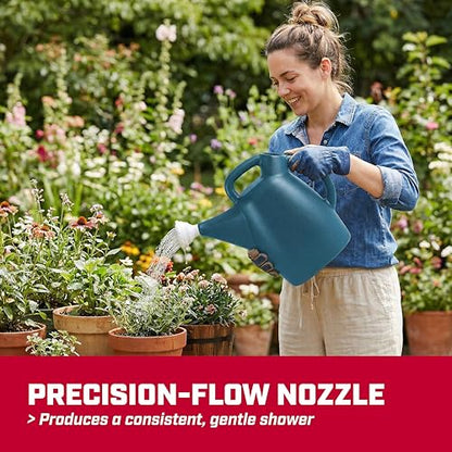 CHAPIN 48010 2-Gallon Watering Can, Drip-Free Spout for Clean Pour - style: 2 Gallons, Blue