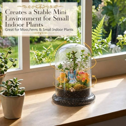 Hushee 5 Pack Decorative 1 Glass Cloche Dome 6.3'' x 4.7'' - No Plants - size: 6.3'' X 4.7''