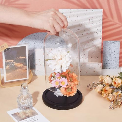 UNICRAFTALE Clear Cloche Glass Dome 4.8"x9.05" Glass Dome Cloche Antique Collectibles Dome Showcase Decorative Bell Jar with Heart Handle for Plants Fairy Lights Table Decor Medal Photos - size: 12.3x23cm