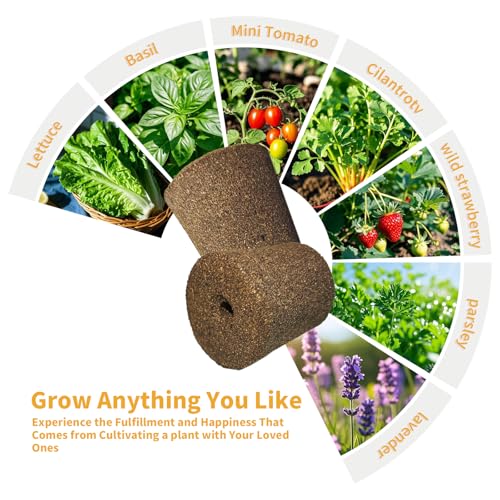 Grow Sponges for Click and Grow Pods, 10-Count Seedless Refill