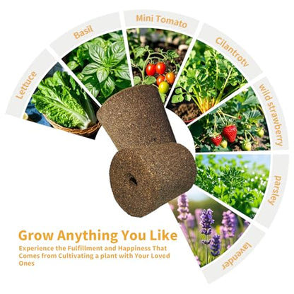 Grow Sponges for Click and Grow Pods, 10-Count Seedless Refill