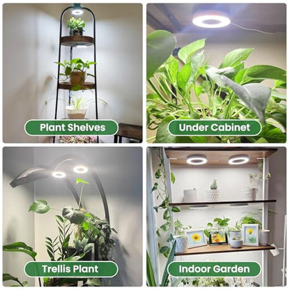 Kullsinss 3.5" Grow Lights for Indoor Plants, 36W Full Spectrum Plant Light - size: 6-Head/White