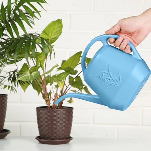 Watering Can - for Home Plant Garden - 1 Gallon Hand - Sky Blue - color: Sky Blue