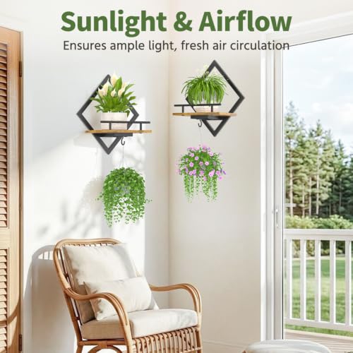 LASZOLA Plant Picture Frame Holder Shelf Wall Window Indoor, 2 Pcs Brown - color: Antique Black+Brown, size: 2