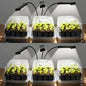 SOLIGT 144 Cell Self Watering Seed Starter Trays with 2 Grow Lights