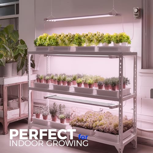 Barrina TX-L63 3FT LED Grow Light, 252W (4 x 63W), 4 Panels Wider Coverage - color: Pinkish White, size: 3FT-4 Packs