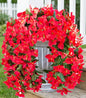 2 PCS Bougainvillea Artificial Hanging Flowers Plants for Outdoors, Red - color: Red