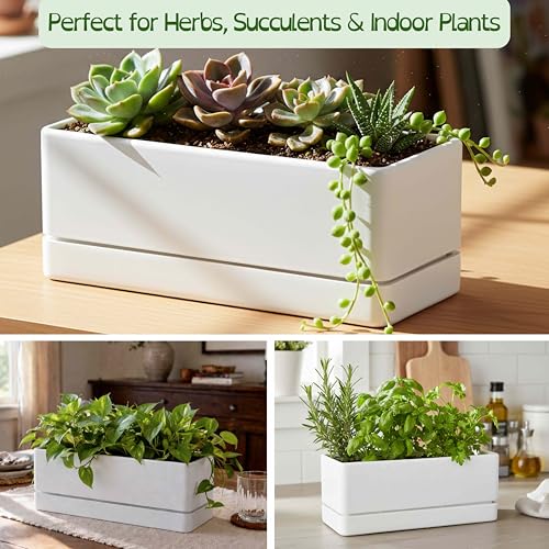 D'vine Dev 2-Pack Rectangular Planters, 12 x 4.5 in, White, 76-X-A-2 - color: White