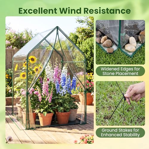 GIANTEX Mini Greenhouse, Outdoor Portable Green House, 36"x36"x60" - size: 36"x36"x60"