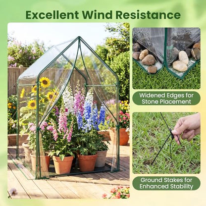 GIANTEX Mini Greenhouse, Outdoor Portable Green House, 36"x36"x60" - size: 36"x36"x60"