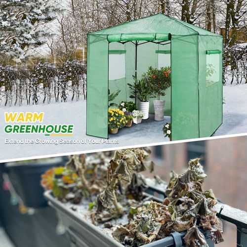 EAGLE PEAK 7x7 Easy Setup Pop Up Greenhouse, 2 Folding Shelves, Clear/Green - color: Clear/Green, size: 7x7