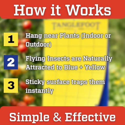 Tanglefoot Sticky Tangle-Trap Cards 20 Pack - 4"x6" – Double-Sided Yellow & Blue Hanging Traps for Garden, Plants & Greenhouse Use - size: 4"x6"