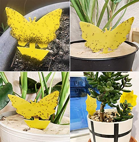 96 Pack Yellow Sticky Fungus Gnat Traps for House Indoor & Outdoor Plants - size: 96 Packs