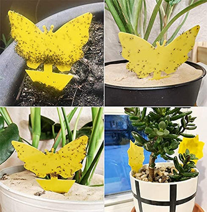 96 Pack Yellow Sticky Fungus Gnat Traps for House Indoor & Outdoor Plants - size: 96 Packs