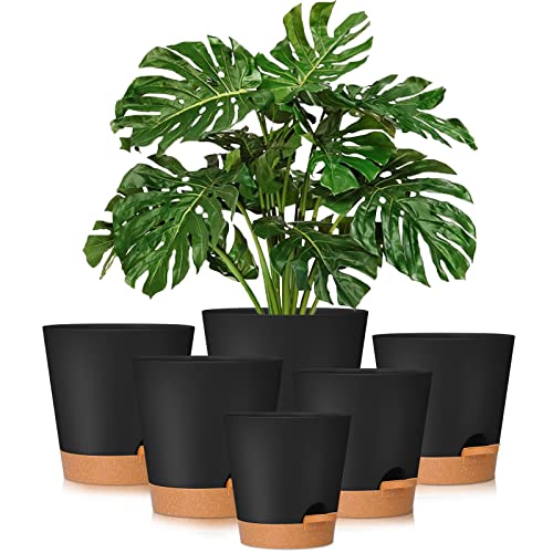 GARDIFE Plant Pots 8/7/6.5/6/5.5/5 Inch Self Watering Planters with Drainage Hole, Plastic Flower Pots, Nursery Planting Pot for All House Plants, African Violet, Flowers, and Cactus,Black - color: 8-black, size: 8+7+6.5+6+5.5+5 inch