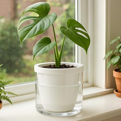 D'vine Dev Self-Watering White Terracotta Planter, 6 in, 2-Pack, 37-Y-B-2 - color: White, size: 6 Inch
