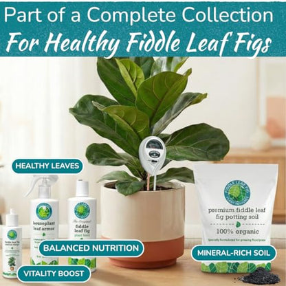 Fiddle Leaf Fig Health Meter, 3-in-1 Soil Moisture, Light & pH Testing Tool