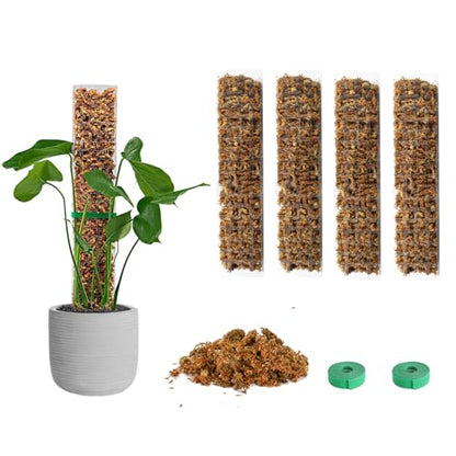 EOX Plastic Moss Pole Kit for Monstera, 15-Inch, 4-Pack, 5.3oz Moss
