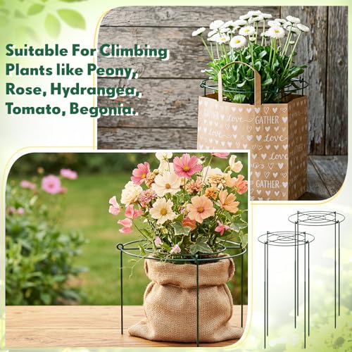 Geelin 6 Pcs Adjustable Peony Cages and Supports, 24 x 12 Inch / 9 x 12 Inch Metal Peony Support Cage, Large Plant Frame Rings for Garden Outdoor Plants Flowers Tomato Vegetables, Height Adjustable - size: 24 x 12 Inch / 9 x 12 Inch