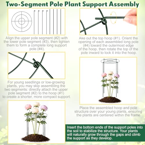 Geelin 6 Pcs Adjustable Peony Cages and Supports, 24 x 12 Inch / 9 x 12 Inch Metal Peony Support Cage, Large Plant Frame Rings for Garden Outdoor Plants Flowers Tomato Vegetables, Height Adjustable - size: 24 x 12 Inch / 9 x 12 Inch
