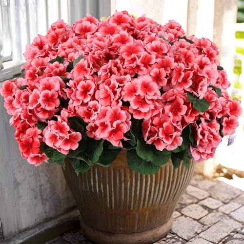 Hananona 6 Pcs Artificial Geranium Flowers for Outdoors Geraniums Silk Flowers Outdoor UV Resistant Garden Plants Faux Flowers for Home Kitchen Table Centerpieces Decor (6, Peach) - color: Peach