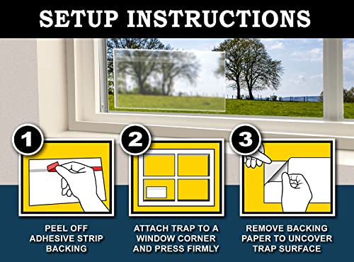 MaxGuard Window Fly Traps (60 XL Traps) Catch & Kill Houseflies, Flying Insects & Bugs. Non-Toxic Sticky Glue Traps Fly Killer Clear Strip Insect Catcher Safe No Zapping with Zapper | - size: 60 XL Traps