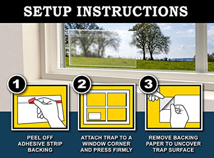 MaxGuard Window Fly Traps (60 XL Traps) Catch & Kill Houseflies, Flying Insects & Bugs. Non-Toxic Sticky Glue Traps Fly Killer Clear Strip Insect Catcher Safe No Zapping with Zapper | - size: 60 XL Traps
