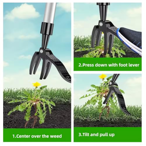 Hardness Weed Pulling Tool,Manual Stand Up Weed Puller Tool Head Replacement,4-Claw Steel Head Design US