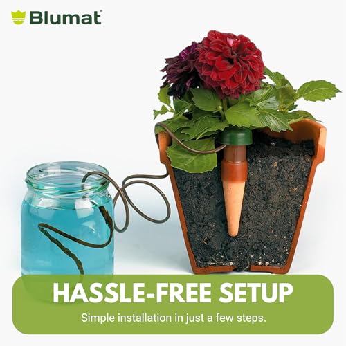 Blumat Classic XL Self-Water Stakes for Indoor Plants - 2 Pack - for Indoor - size: 2 Pack