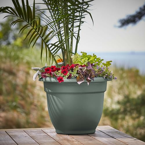 Bloem Ariana 20" Plastic Self-Watering Planter, Basil, 2-Pack - color: Basil, size: 20" (Pack of 2)