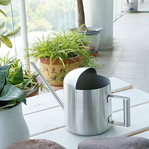Mini Watering Can, 10oz/300ml Stainless Steel Long Spout Small Watering Can for Indoor Plants Succulents, Herbs (Silver) - color: Silver