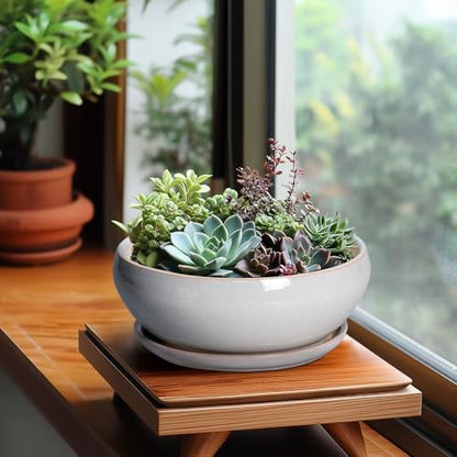 SQOWL Bonsai Tree Pots, 8 Inch Ceramic Plant Pots with Saucer, Gray - color: Gray, size: 8 Inch