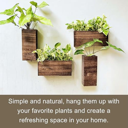 LaLaGreen Wooden Wall Planters (4 Pack) Hanging Wood Planter Box for Plants - size: 4-pc Set