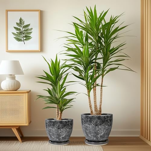 Ceramic Pots for Plant, 10+8+6 Inch Modern Flower Pot Indoor, Grey - color: Gray