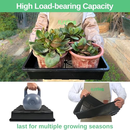Soil Blocking Trays 15x12inch Mesh Tray 10 Pack Seed Starter Tray Mesh Bottom Trays for Soil Blocks, Seedling, Microgreen, Wheatgrass - size: 10P Mesh Trays