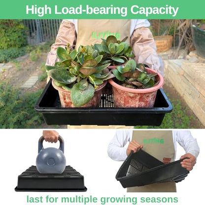 Soil Blocking Trays 15x12inch Mesh Tray 10 Pack Seed Starter Tray Mesh Bottom Trays for Soil Blocks, Seedling, Microgreen, Wheatgrass - size: 10P Mesh Trays