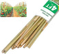 Natural Bamboo Plant Stake, （4FT 50Pcs） Sturdy Bamboo Poles, Durable Plant Bamboo Stake, Garden Climbing Plant Bracket. - size: 4ft-50pcs