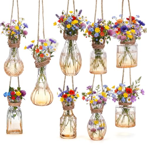 Baderke 9 Pcs Window Propagation Glass Vases with Jute Rope Mini Vintage Embossed Wall Vases for Plant Lover Wedding Hydroponic Garden Home Decoration (Clear Champagne Gold) - color: Clear Champagne Gold