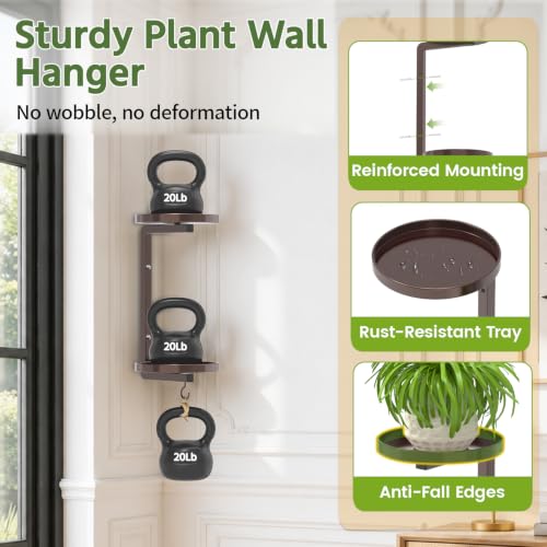 LASZOLA Plant Hanger Holder Shelf Wall Indoor with Lights, 2 Pcs Bronze - color: Classic Brown, size: 2