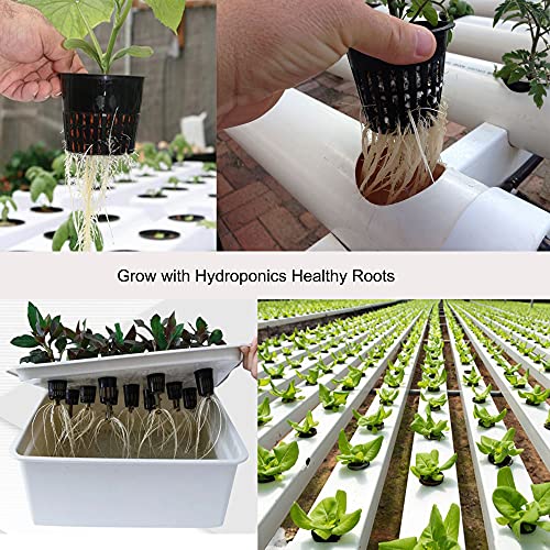 ORIMERC 10 Pack 3 inch Hydroponic Net Pots with Self Watering Wick, Clay Pebbles, Plant Labels Mesh Baskets for Indoor Garden, Aquaponics, Orchids, Herbs, Vegetable, Seed Starting, Mason Jar Insert - size: 3 inch-10 Pack