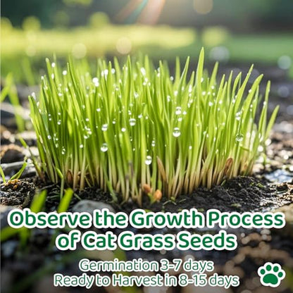 5Pack Cat Grass Seeds Growing Kit for Indoor Cats