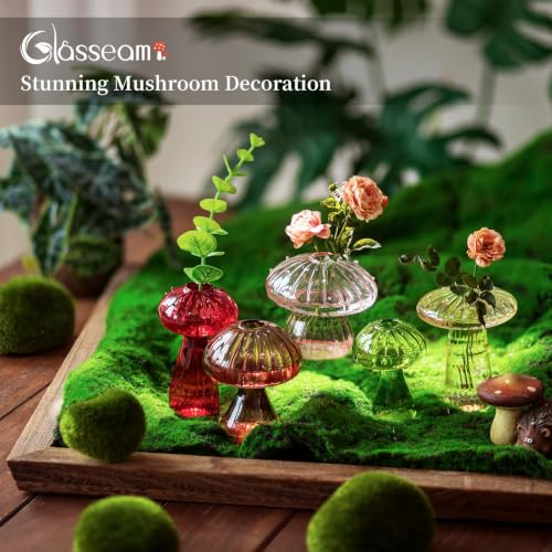 Glasseam Mushroom Plant Propagation Station: 5 Pcs Glass Mini Terrarium - color: Colorful, size: 5