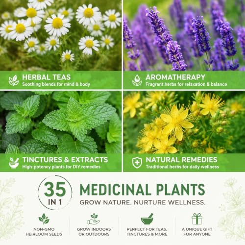 35 Herb Seeds Variety Pack, 16,400+ Non-GMO Heirloom Seeds for Planting
