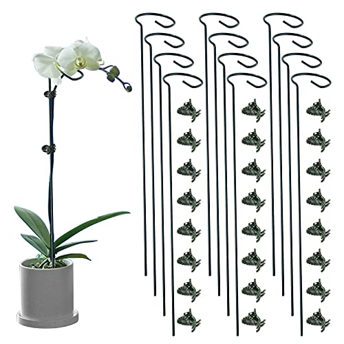 12 Pack Plant Support Stakes with 24 Pcs Plant Clips, Garden Single Stem Support Stake, Plant Cage Support Ring for Indoor Outdoor Flowers Rose Amaryllis Tomatoes Peony Lily Orchid (24 Inch) - color: 12 PCS, size: 24 Inch