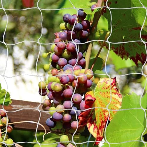 Tcamp Heavy-Duty Polyester Plant Trellis Netting - size: 6" Mesh (5*15 Ft) - 2Pack