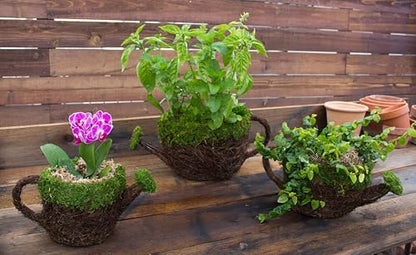 SuperMoss (55261) 9" Deco Watering Can Planter Basket, Large - size: Large